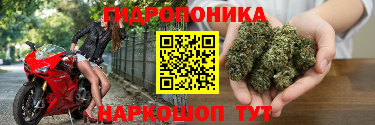 МАРИХУАНА White Widow  Шишки марихуана марихуана  Канабис марихуана  Вход с VPN  Гусь-Хрустальный  Бошки марихуана OG Kush 